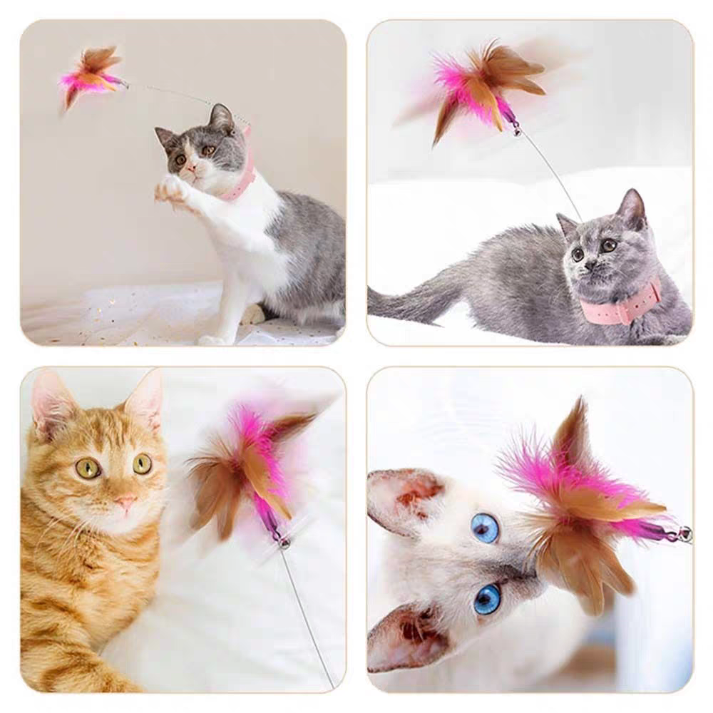 Cat Feather Collar – Self-Healing Durable Cat Toys with Soft Feather Trim