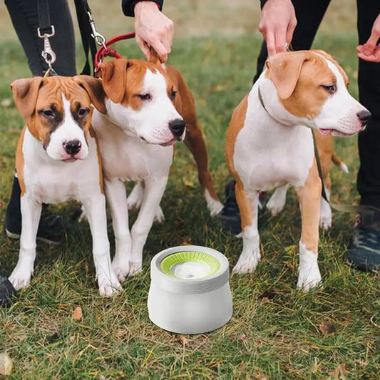 Dog Water Bowl – Durable Non Spill Plastic Pet Hydration Bowl for Travel