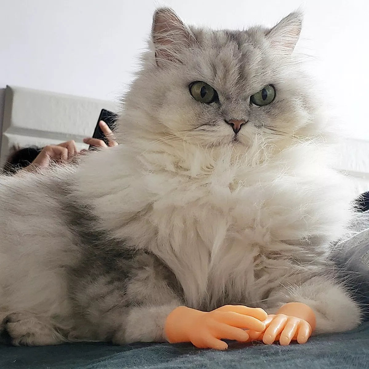 Cat Finger Gloves – 6PCS Silicone Pet Play Gloves For Interactive Fun