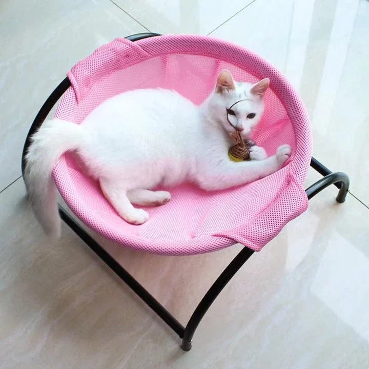 Floor Cat Hammock - Durable Cat Bed With Stand | Comfortable Indoor Pet Lounge