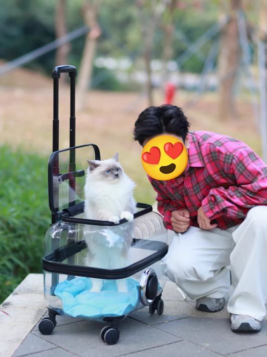 Pet Travel Trolley - Transparent Cat Suitcase With Large Capacity & Wheels