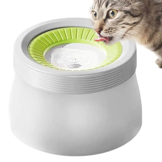 Dog Water Bowl – Durable Non Spill Plastic Pet Hydration Bowl for Travel