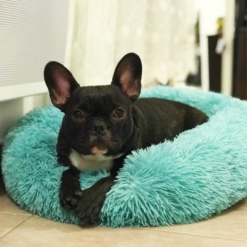 Plush Doghouse – Cozy Small Dog House | Insulated Pet Warm Bed For Autumn & Winter