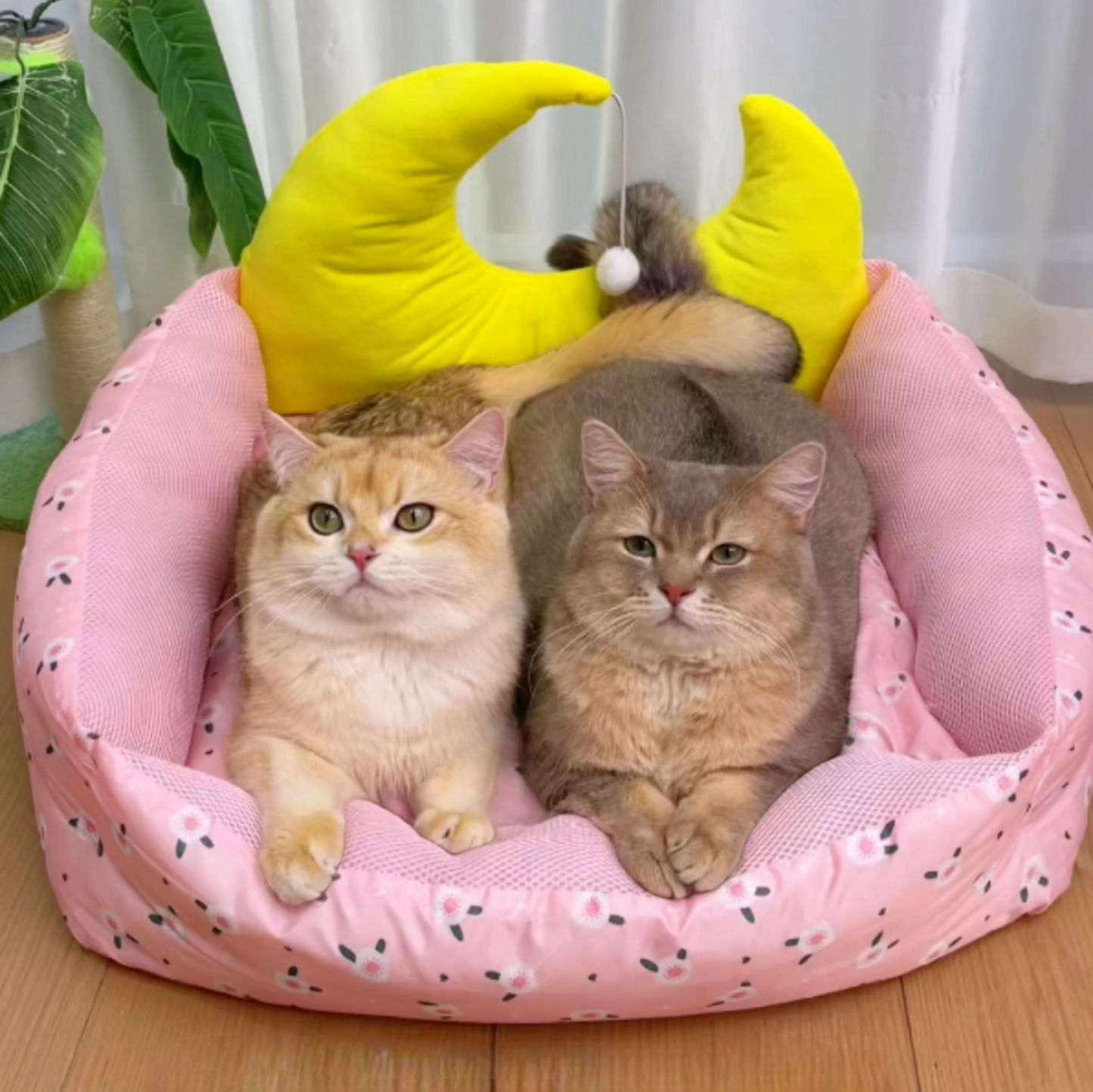 Cool Waterproof Pet Bed - Durable Oxford Cloth Cooling Cat Mattress With Toy Ball
