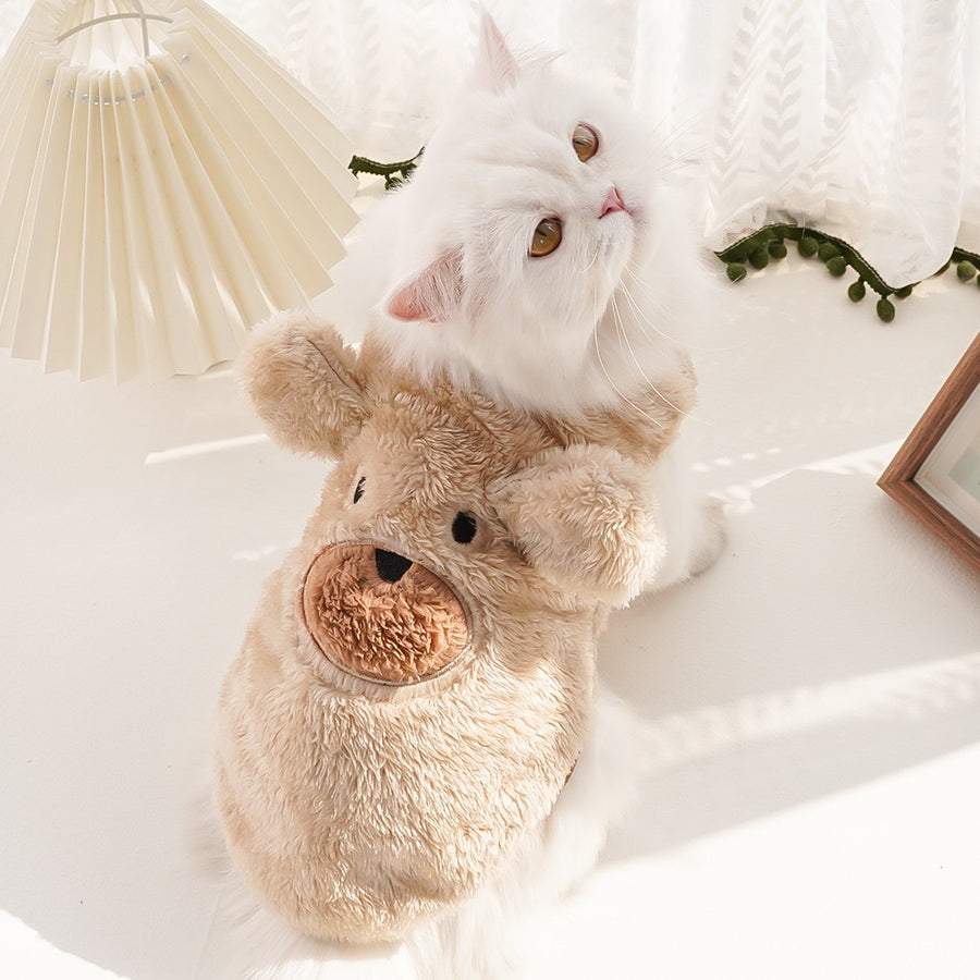 Clothes For Cats - Stylish Cat Clothing & Comfortable Pet Wear Outfits