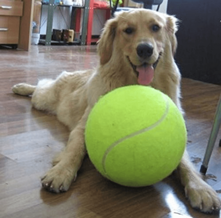 Giant Tennis Ball - Durable Large Dog Toy 9.5" | Safe Chew & Interactive Fetch Toy