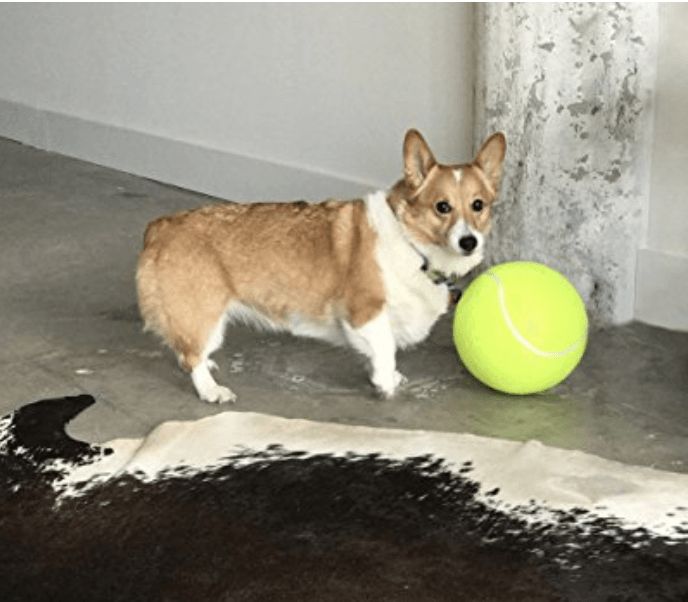Giant Tennis Ball - Durable Large Dog Toy 9.5" | Safe Chew & Interactive Fetch Toy