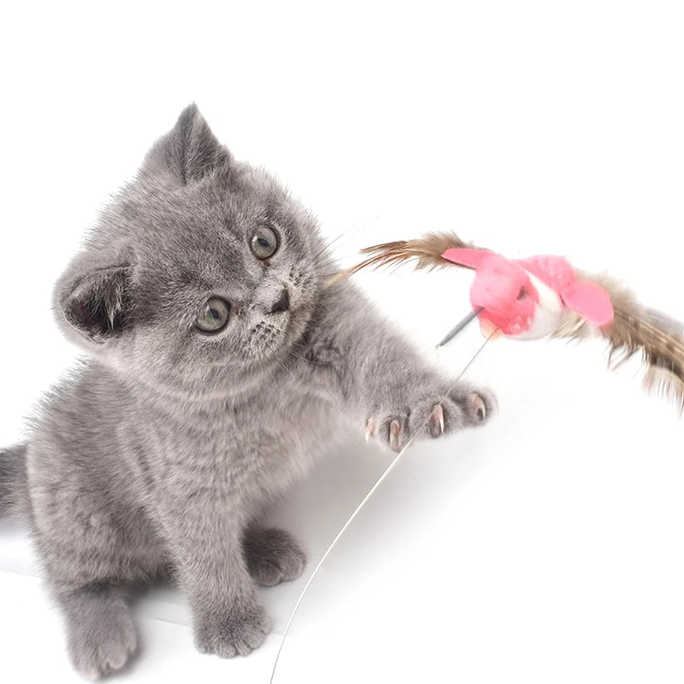 Automatic Cat Toy - Electric Rotating Interactive Pet Play Device