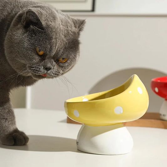 Raised Cat Bowls - Ceramic Elevated Bowl | Easy Clean, Non Spill Cat Food Bowls