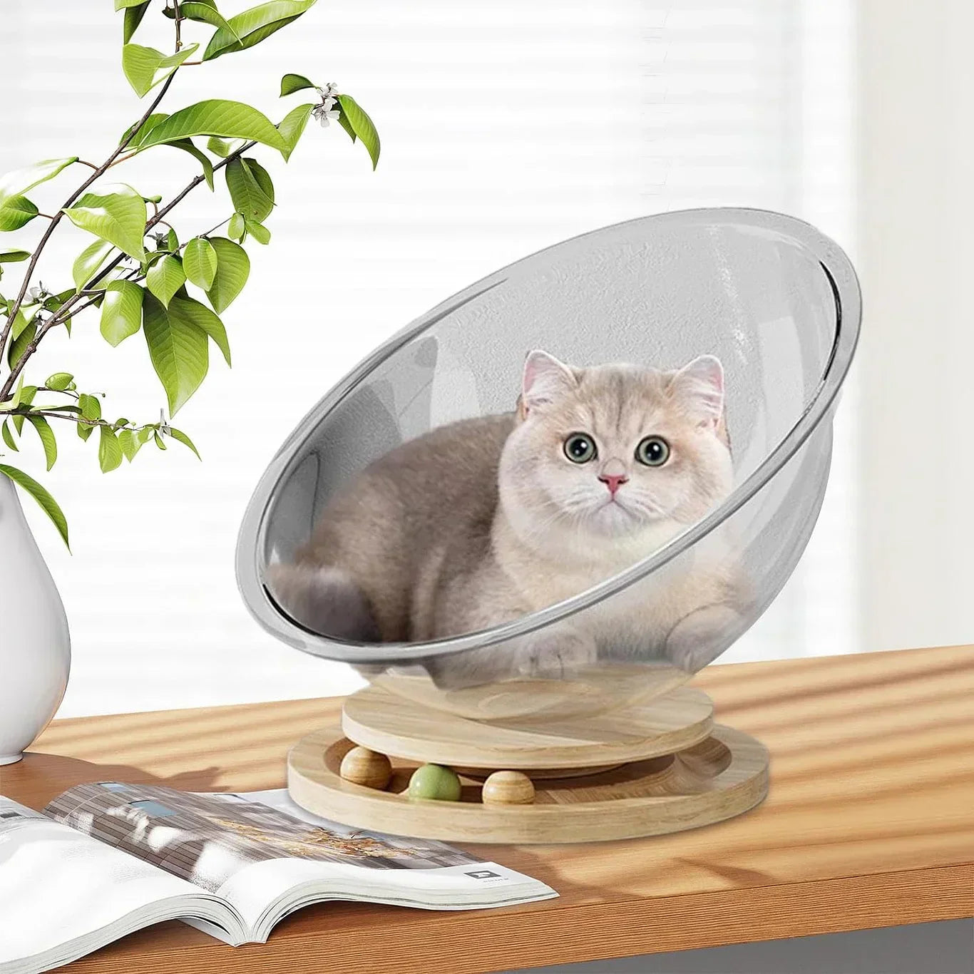 Space Capsule Cat Bed - Transparent Acrylic Cat House & Stylish Pet Shelter