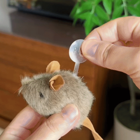 Cat Mouse Toy - Interactive Soft Plush Mouse for Cats & Kittens