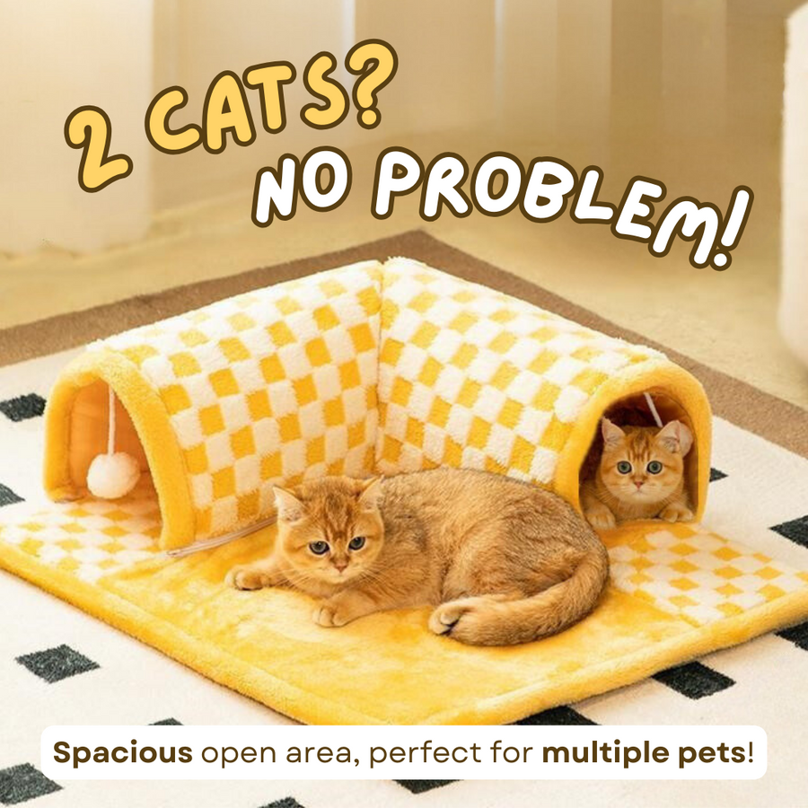 Cat Tunnel Bed - Cozy Indoor Cat Play Tunnel with Washable Cover
