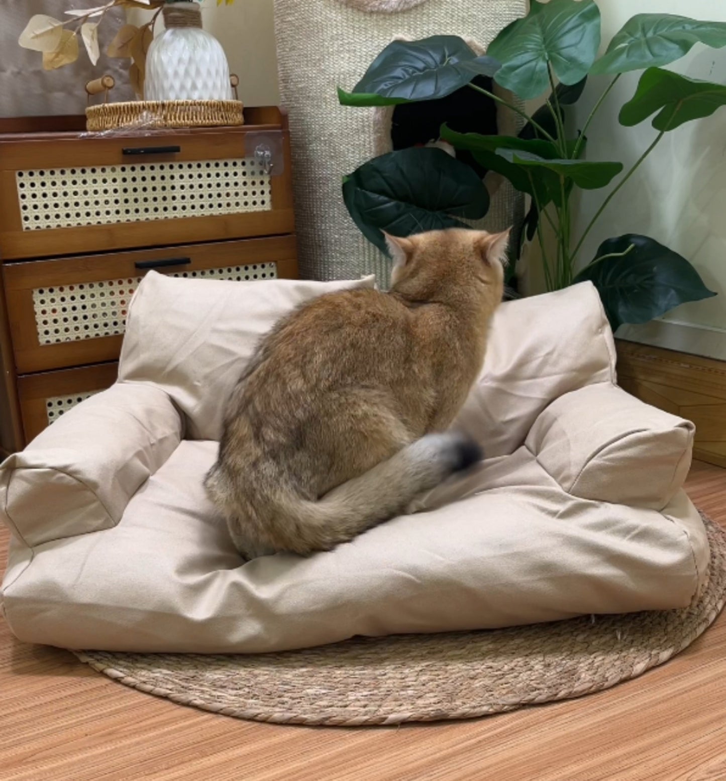 Cat Couch | All-Weather Pet Sofa - Durable, Cozy Cat Resting Spot