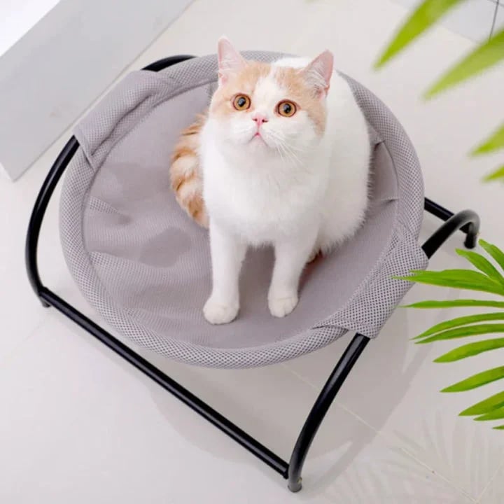 Floor Cat Hammock - Durable Cat Bed With Stand | Comfortable Indoor Pet Lounge