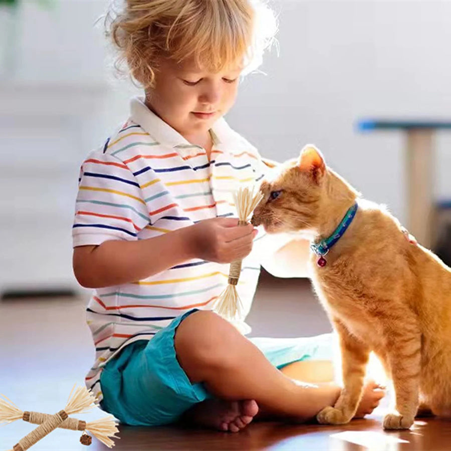 Silvervine Cat Chew Stick – Natural Catnip Alternative & Dental Health Toy