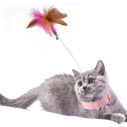 Cat Feather Collar – Self-Healing Durable Cat Toys with Soft Feather Trim