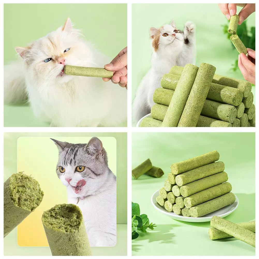 Cat Grass Sticks - Grass Teething Stick & Entertaining Cat Treat for Dietary Health