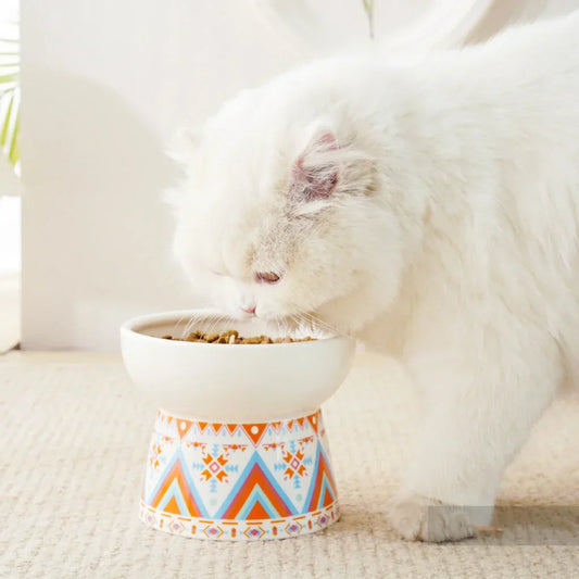 Ceramic Cat Bowl - Elevated Cat Dish With Whisker Fatigue Relief & Spill Resistant Design
