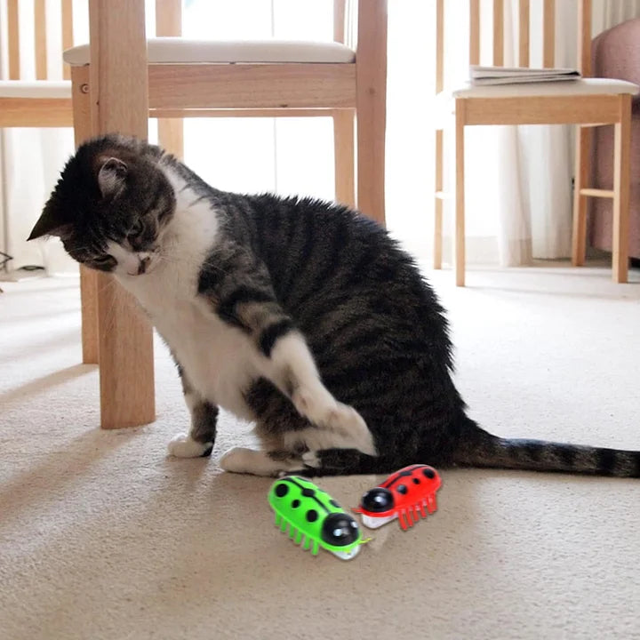 Electronic Cat Toy – Interactive Indoor Cat Toy Battery Operated Playful Accessory