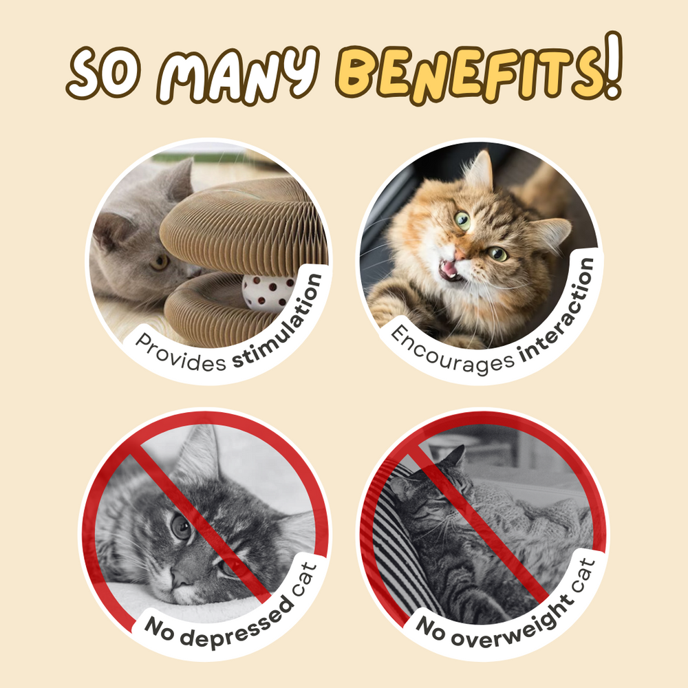 Cat Scratching Board - Durable Corrugated Cat Scratcher Pad With Catnip Toy