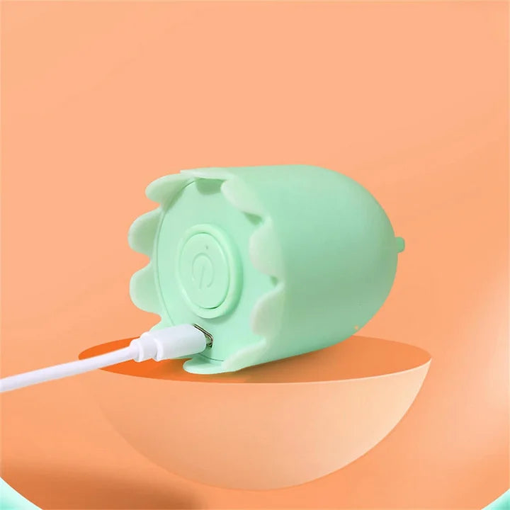 Automatic Cat Toy - Interactive Silicone Tail Teaser 2 in 1 Wand Alternative