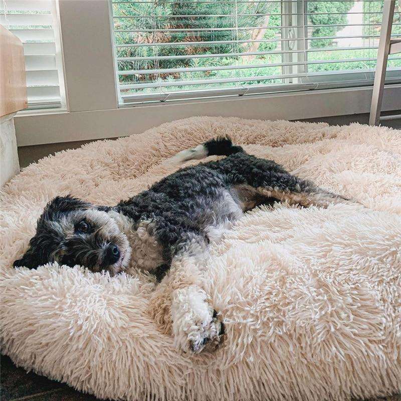 Plush Doghouse – Cozy Small Dog House | Insulated Pet Warm Bed For Autumn & Winter