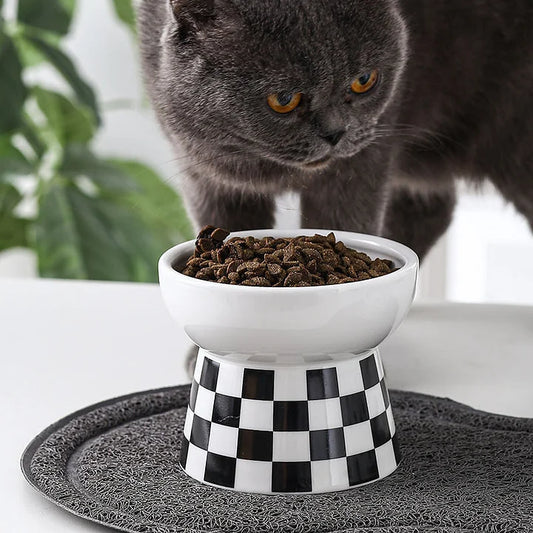 Ceramic Cat Bowl – Elevated Cat Feeder with Whisker Fatigue Relief & Spill Resistant Design