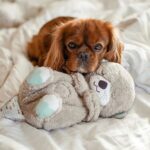 SweetPetStory Buddy – Soft Cuddle Companion & Calming Sleep Aid Plush Toy