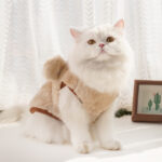 Clothes For Cats - Stylish Cat Clothing & Comfortable Pet Wear Outfits