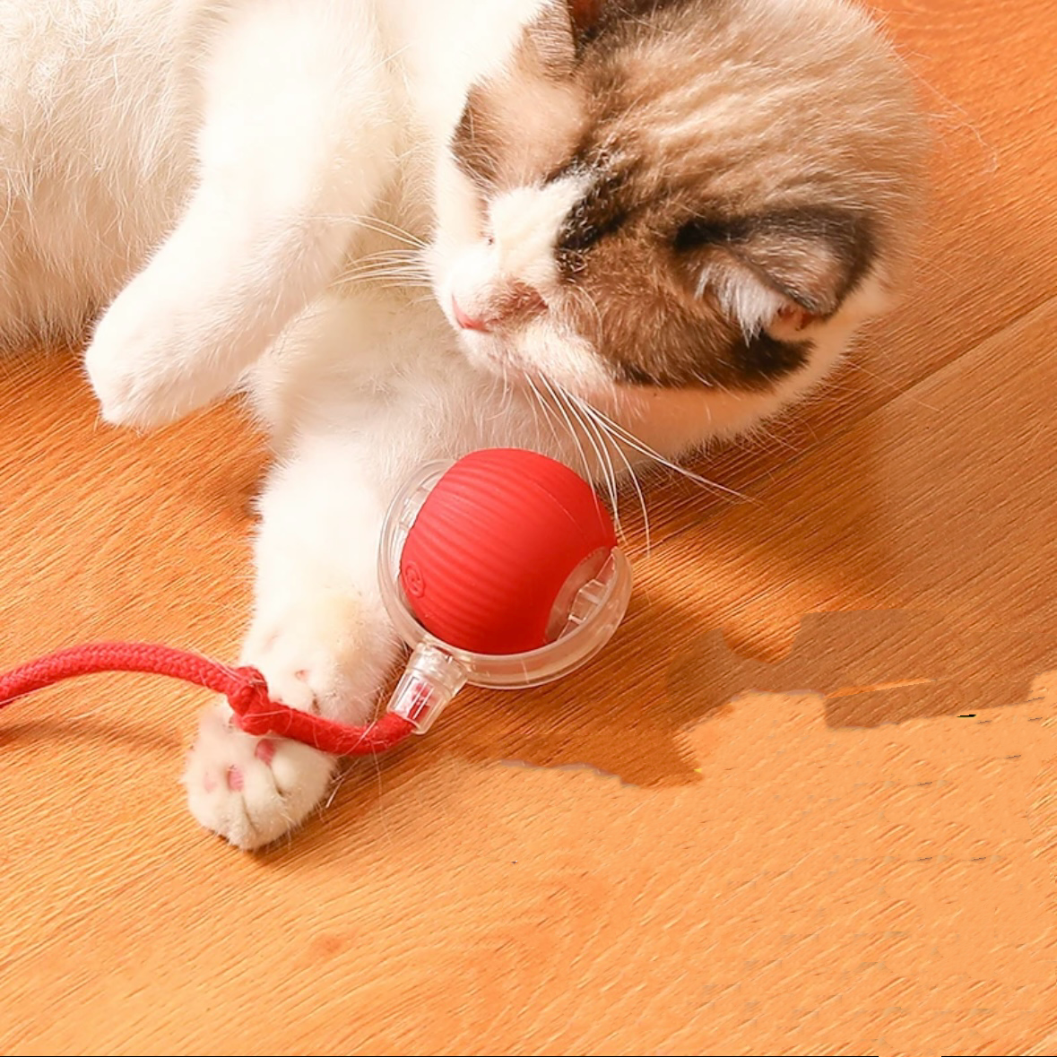 rn-image_picker_lib_temp_c7eae8c5-399c-43e3-8b84-2a2b9967a756.png Smart Ball Cat Toy – Rotating Interactive Pet Toy With Motion For Exercise - Image 1