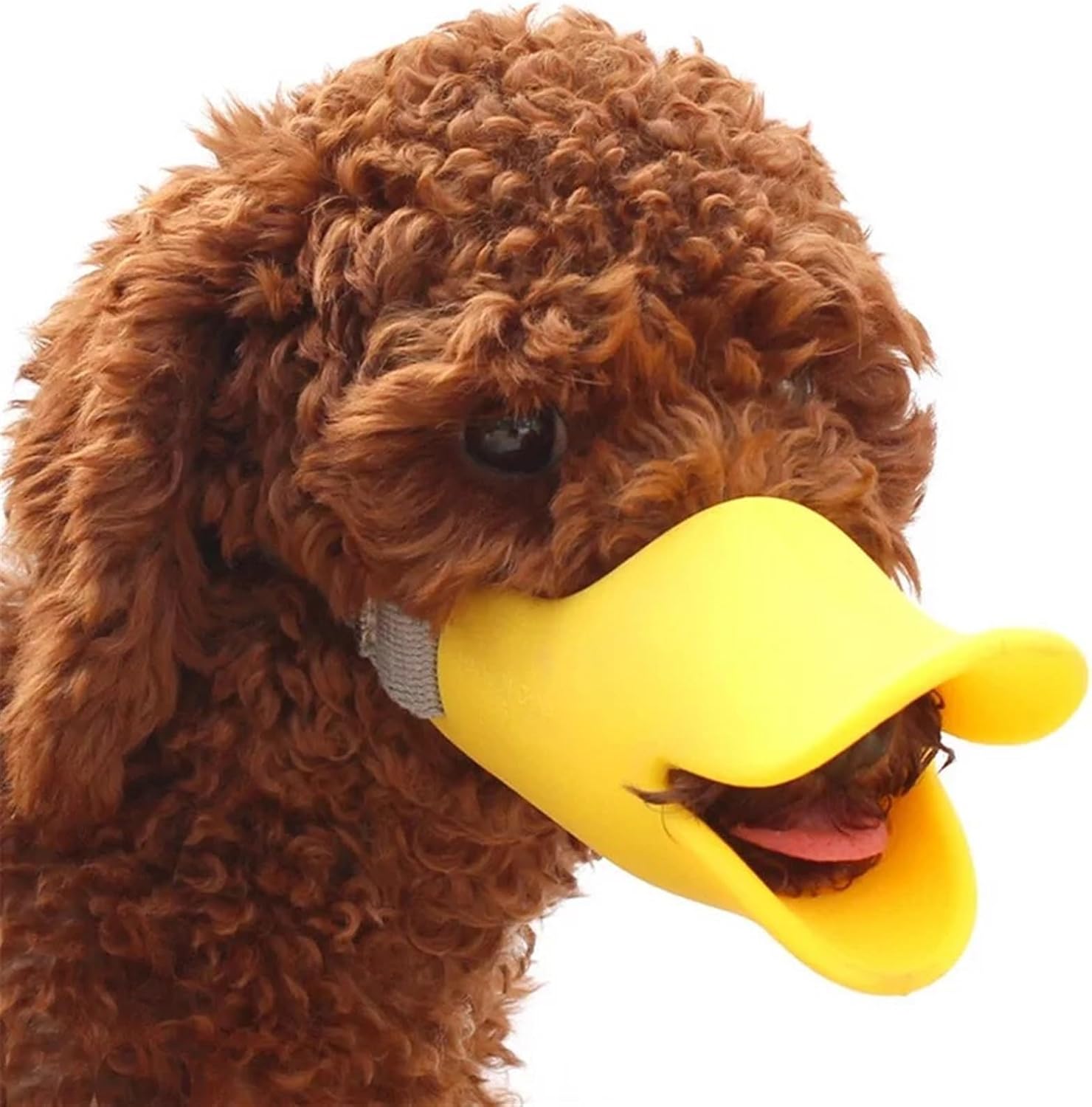 rn-image_picker_lib_temp_ca04817d-3d35-4e82-a61f-2a8233c138ab.jpg Dog Muzzle – Adjustable Duck Mouth Muzzle for Comfortable Puppy Training - Image 1