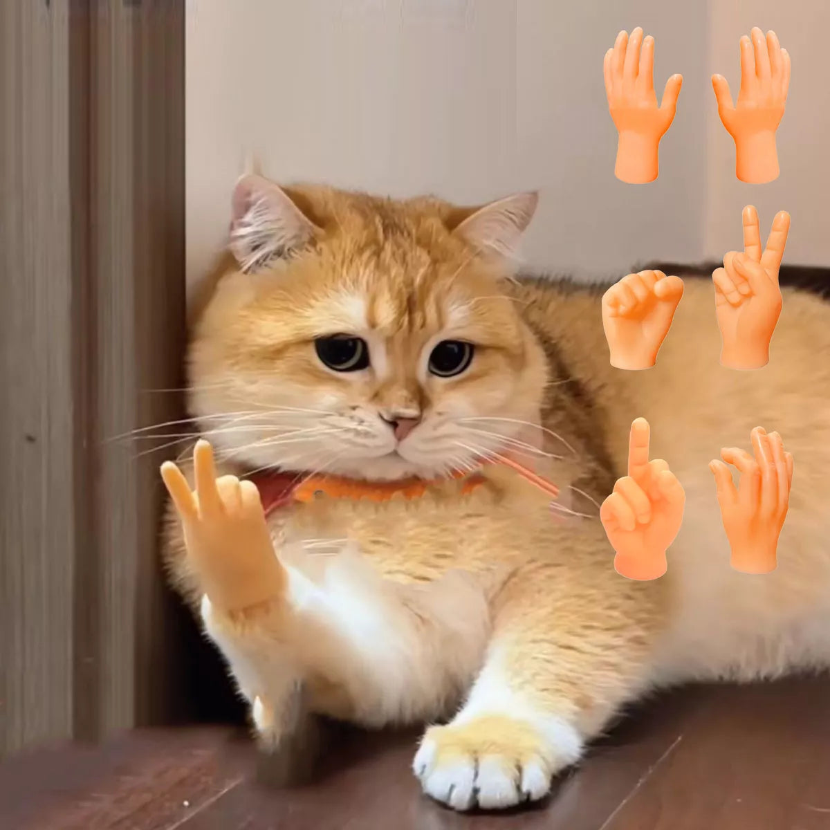 rn-image_picker_lib_temp_d93d71e4-ef9e-476c-afd9-545a6d72e93a.jpg Cat Finger Gloves – 6PCS Silicone Pet Play Gloves For Interactive Fun - Image 1